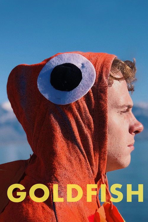 Goldfish (2017) poster