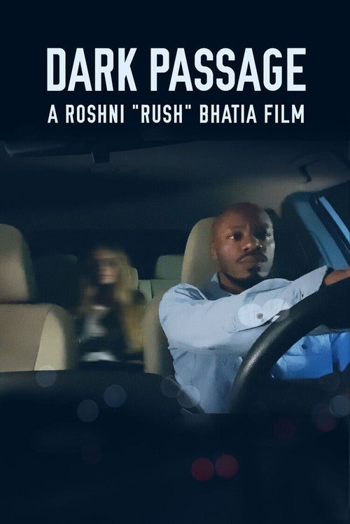 Dark Passage (2019) poster