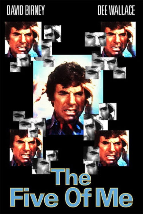 The Five of Me (1981) poster