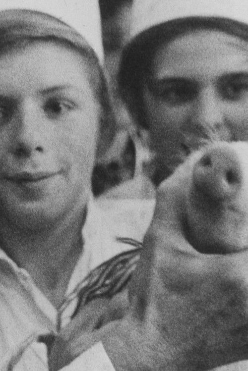 Szilveszter (1974) poster