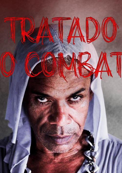 O Tratado do Vão Combate ou A Pequena História de uma Bixinha Qualquer (2023) poster