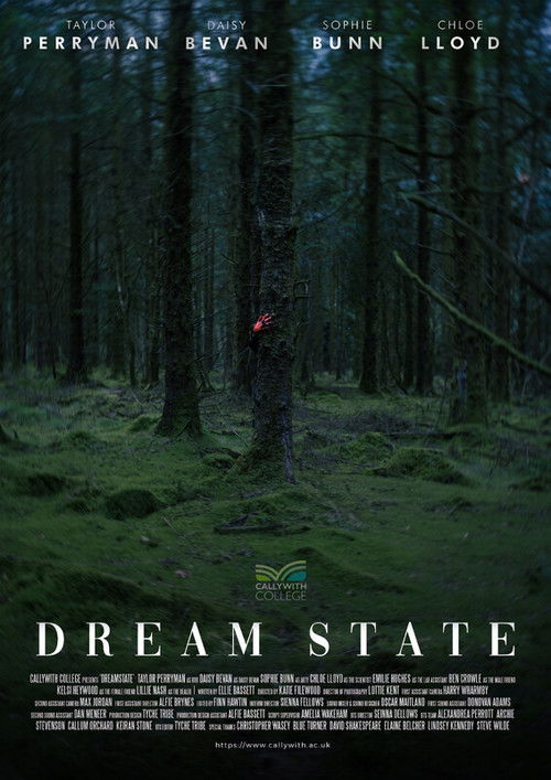 Dream State (2024) poster