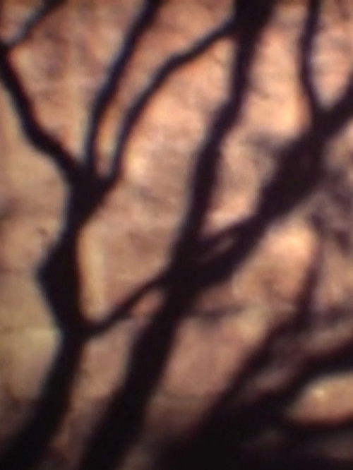 Pulsion (2001) poster