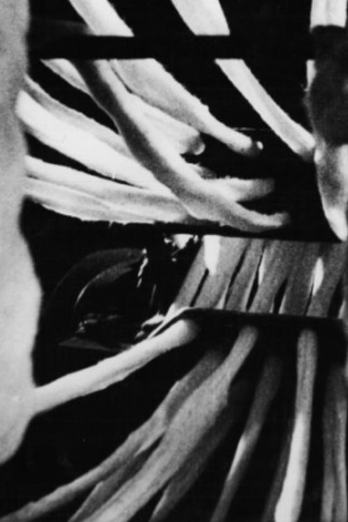 Le Cuir (1937) poster