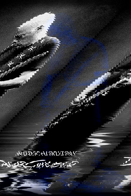 David Gilmour: Wider Horizons (2015) poster