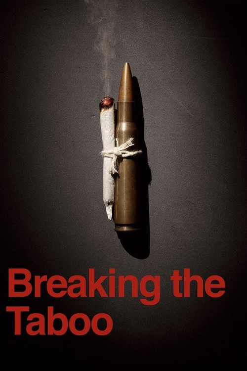 Breaking the Taboo (2011) poster