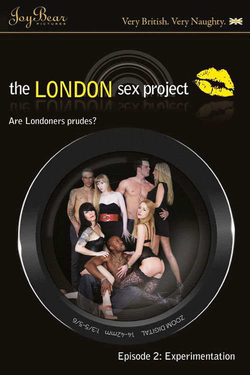 London Sex Project 2: Experimentation (2010) poster