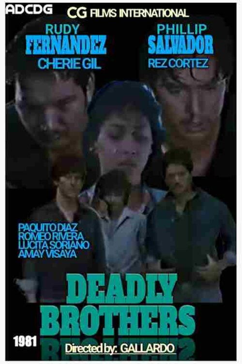Deadly Brothers (1994) poster