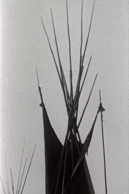 A Pinto for the Prince (1979) poster