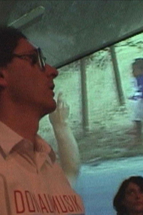 Donaumusik (2001) poster