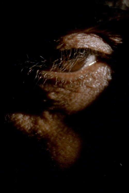 Debil Debil Baldwin Spencer (2025) poster