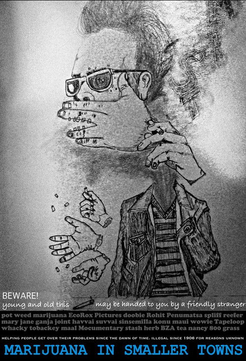 MIST - Marijuana In Smaller Towns (2017) poster