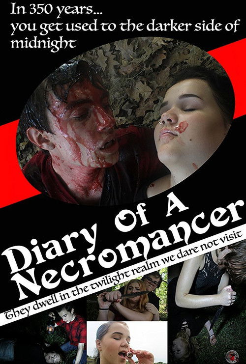 Diary of a Necromancer (2017) poster