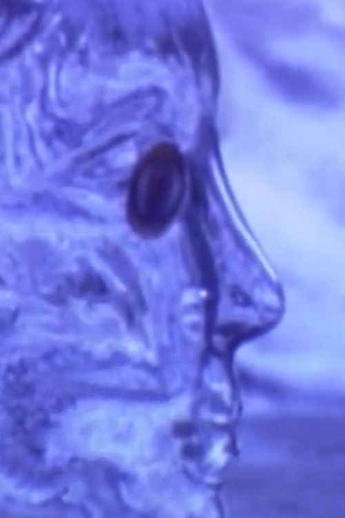 Ghosts Along the Ompompanoosuc (2001) poster