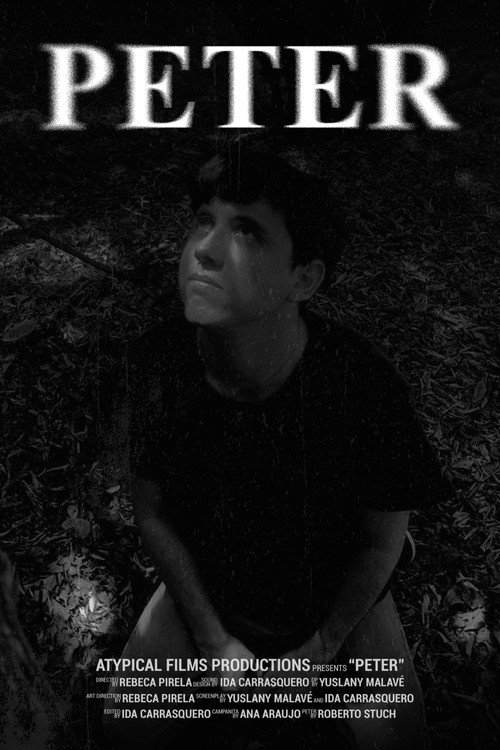 Peter: The price of youth (2024) poster