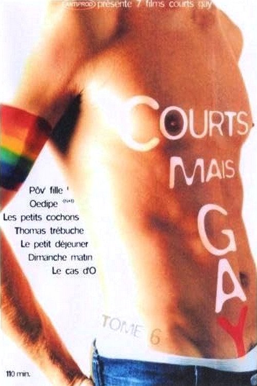 Courts mais Gay : Tome 6 (2003) poster