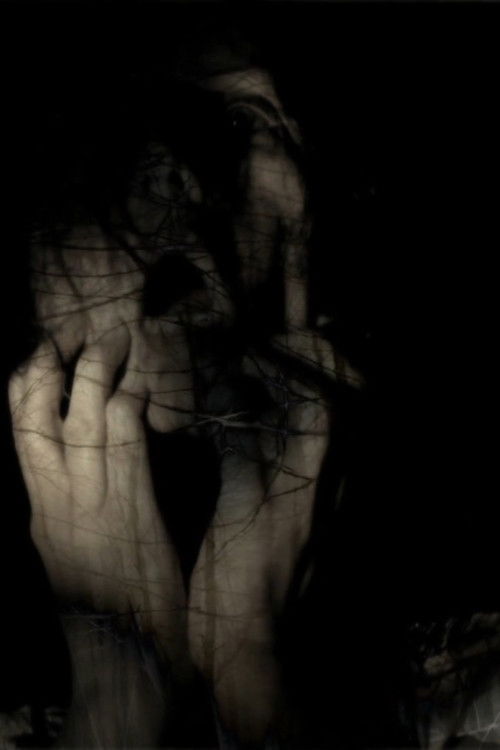 Folias para 5 (2012) poster