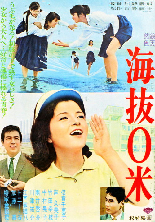 海抜0米 (1964) poster
