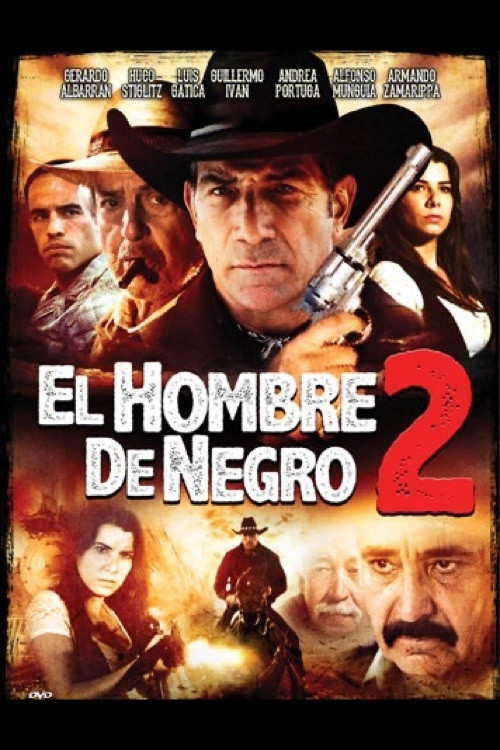El Hombre de Negro II (2013) poster