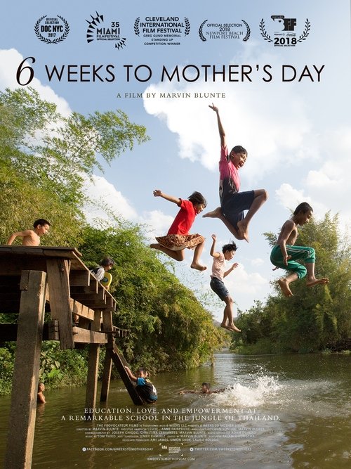 6 Weeks to Mother's Day (2017) poster