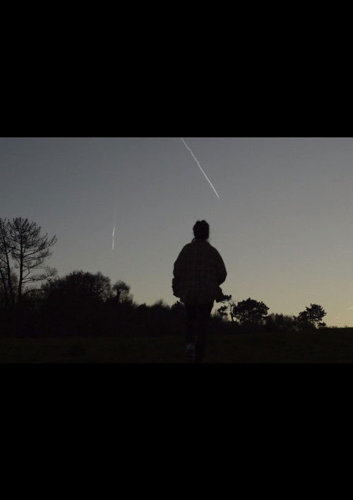 Cuando miro por la ventana veo el bosque (2019) poster