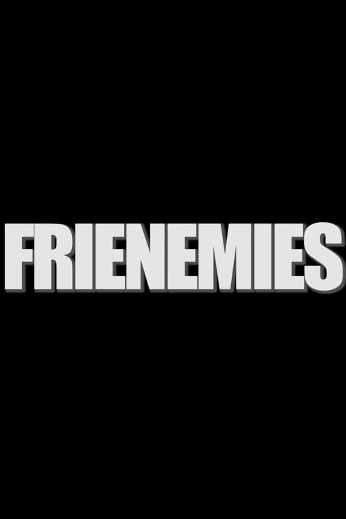 Frienemies (2013) poster