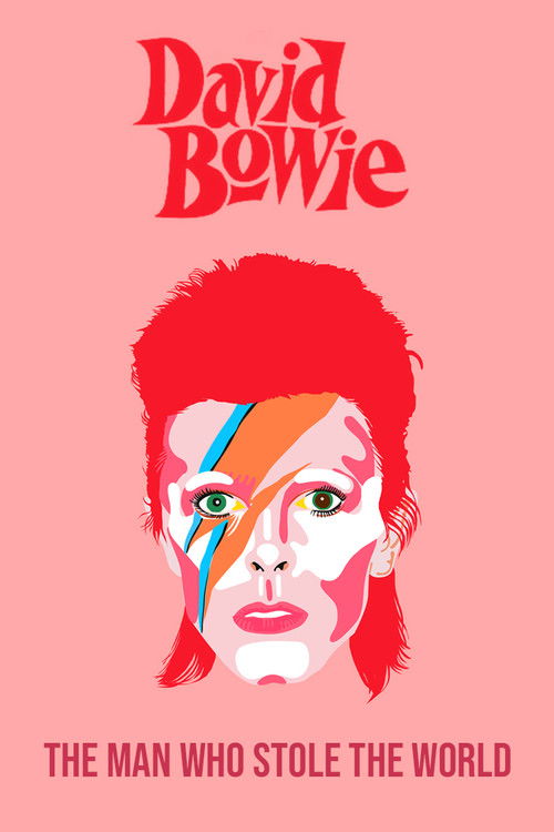 David Bowie: The Man Who Stole the World (2016) poster