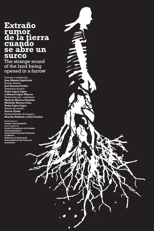 The strange sound of the land being opened in a furrow (2011) poster