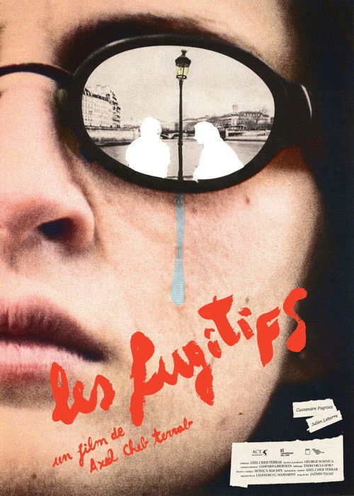 The fugitives poster