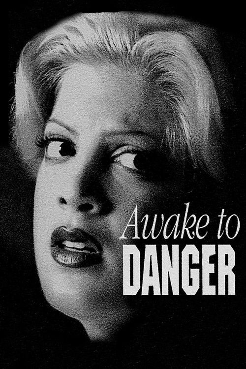 Awake to Danger (1995) poster