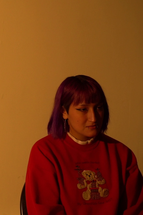 A Look Inside (2023) poster