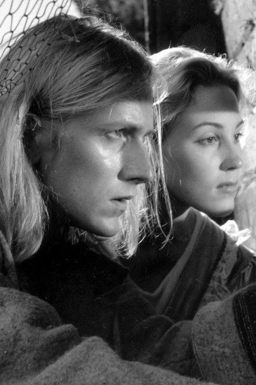 Armon aika (1999) poster