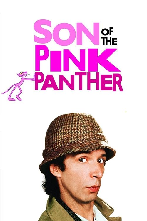 Pembe Panter’in Oğlu (1993) poster