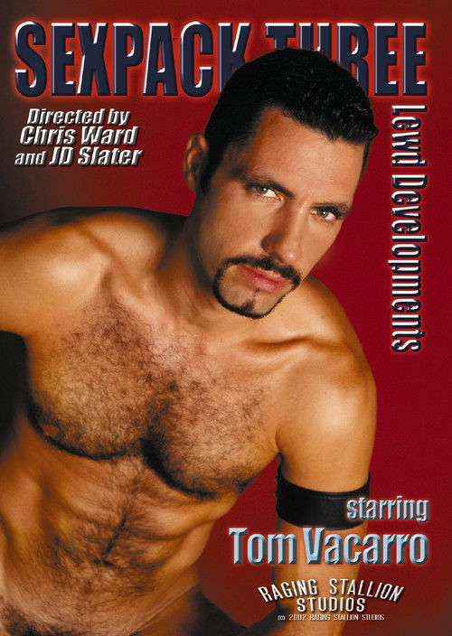 Sexpack Three: Lewd Developments (2001) poster