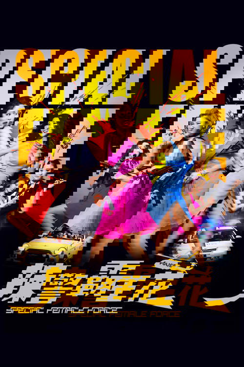 Özel Kadın Gücü (2016) poster