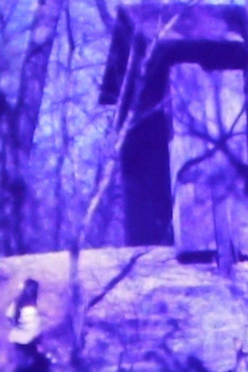 Covered Bridge poster