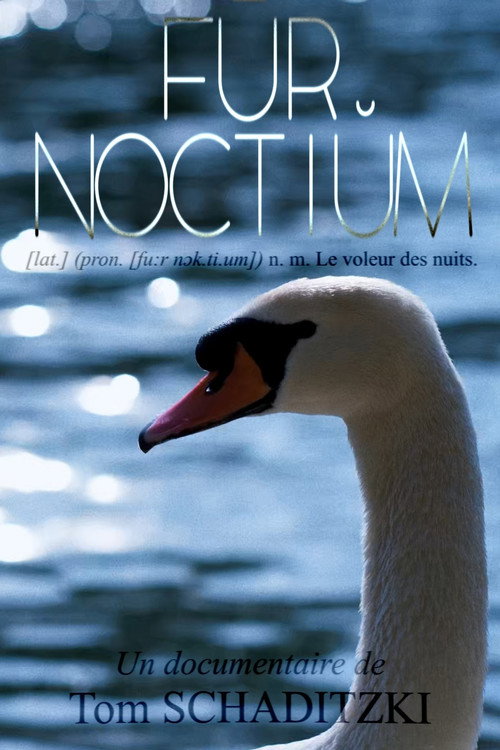 FŪR NOCTIŬM (2026) poster