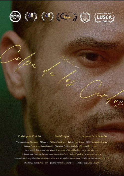 Blame it to the Pigs (2024) poster