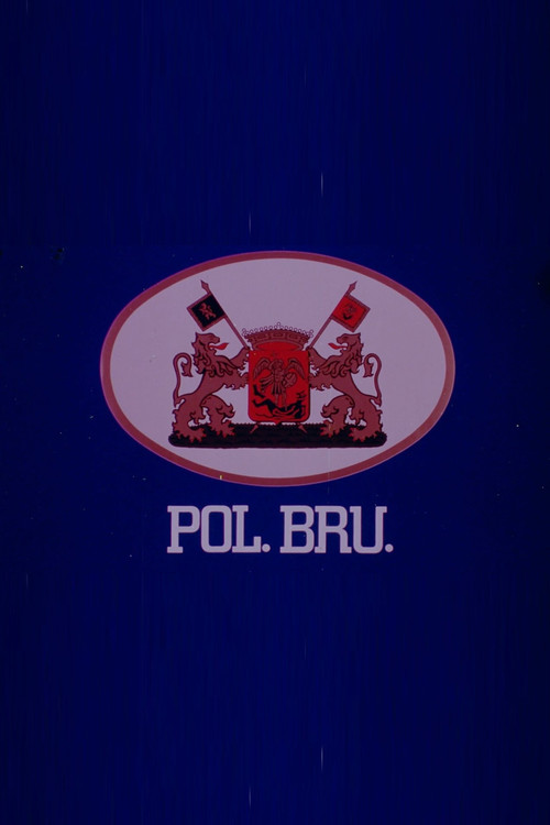 Pol. Bru. (1980) poster