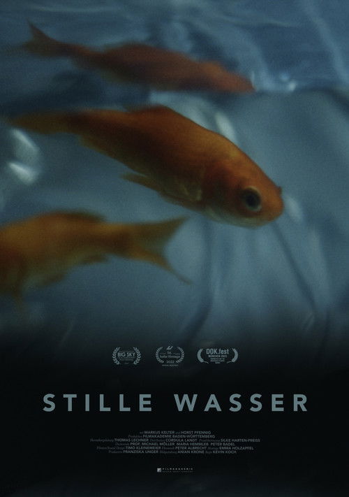 Stille Wasser (2022) poster
