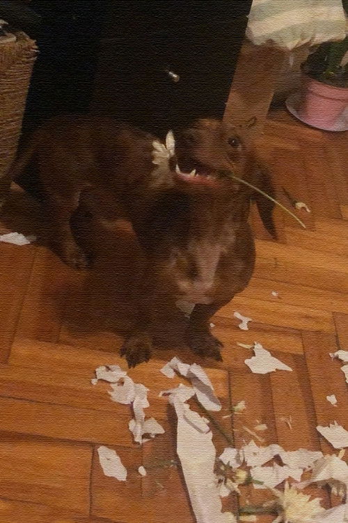 The Breakfast (2023) poster