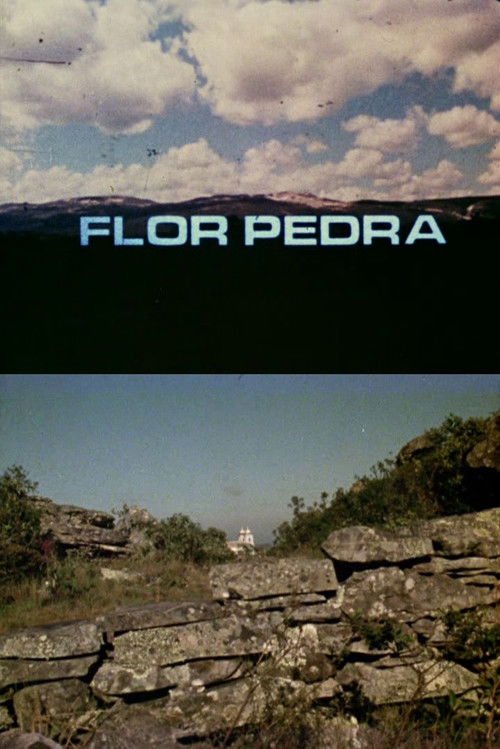 Flor Pedra (1975) poster