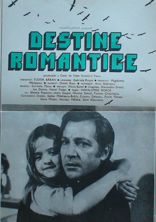 Romantic Destinies (1981) poster