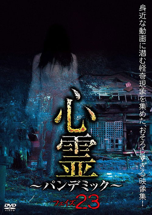 Spirit Pandemic Phase 23 (2021) poster