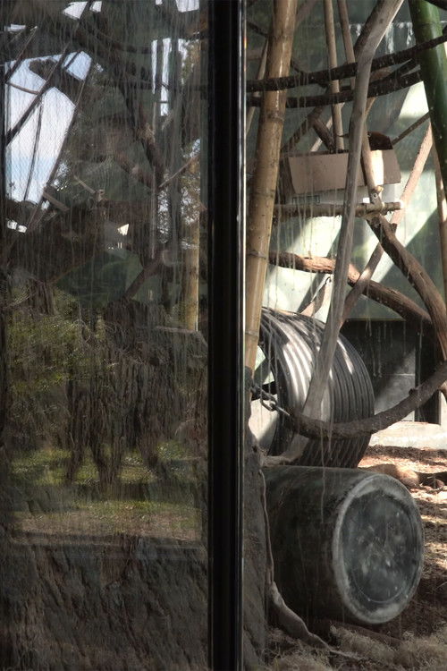 Time is for what is going to disappear (2021) poster