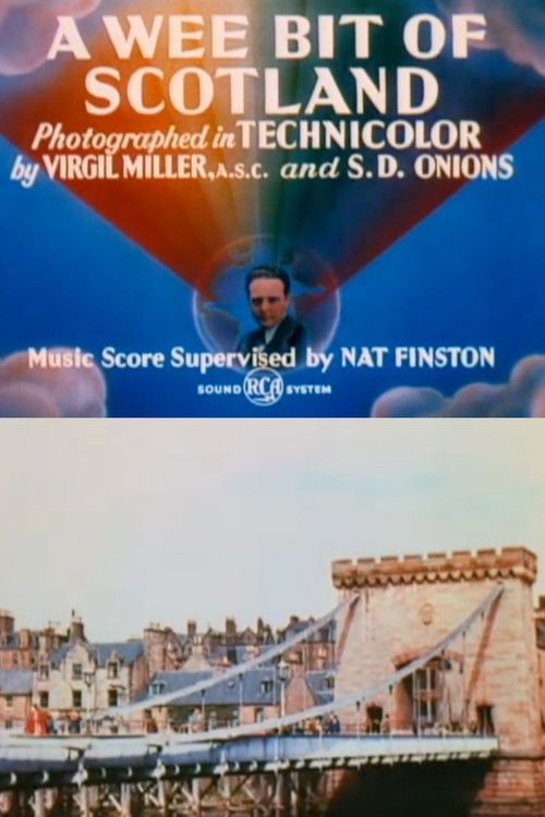 A Wee Bit of Scotland (1949) poster