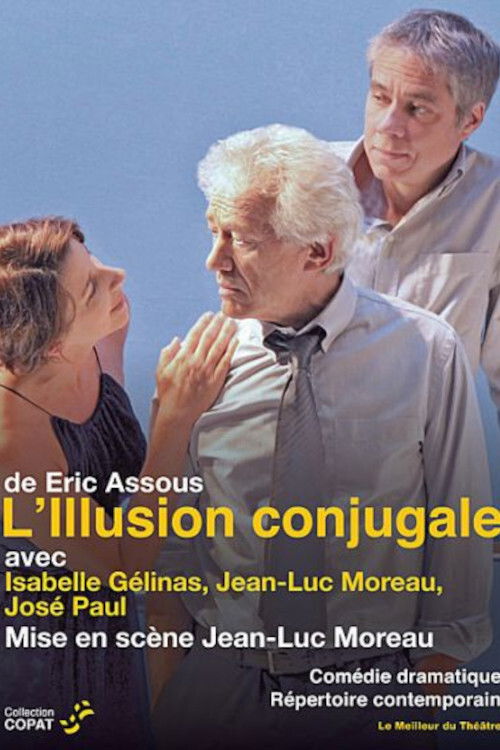 L'Illusion conjugale (2011) poster