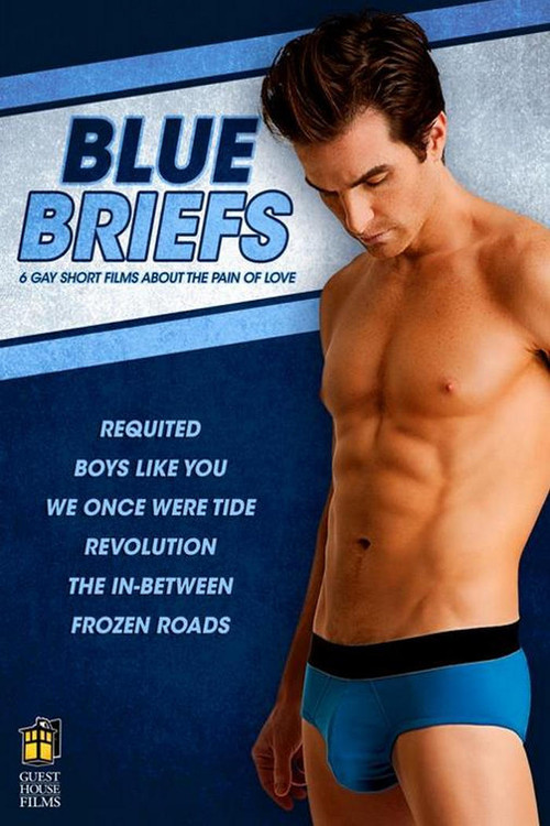Blue Briefs (2012) poster