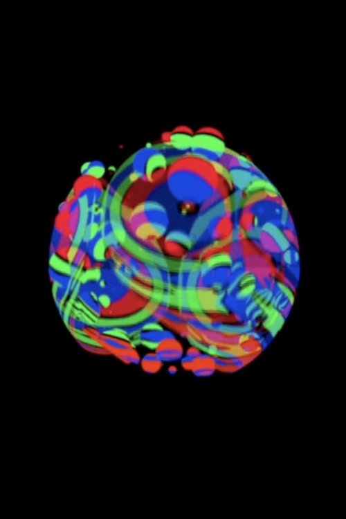 3-D Exotic (2013) poster