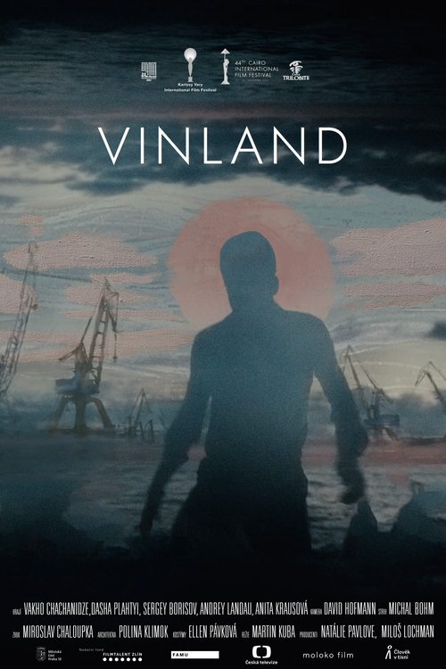 Vinland (2022) poster